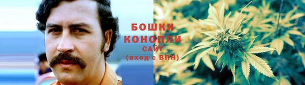 дживик Вязьма
