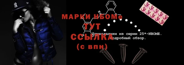 дживик Вязьма